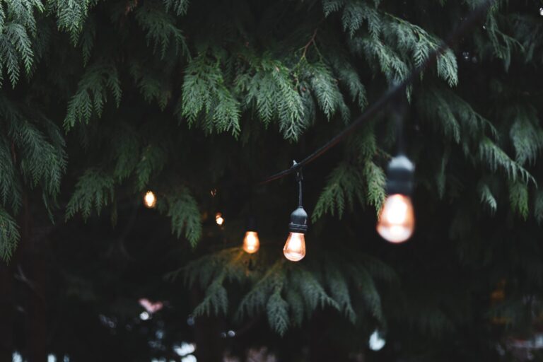 string lighting within tress of someone's backyard